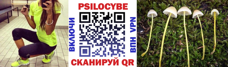 цены Кремёнки omg зеркало Псилоцибиновые грибы MAGIC MUSHROOMS